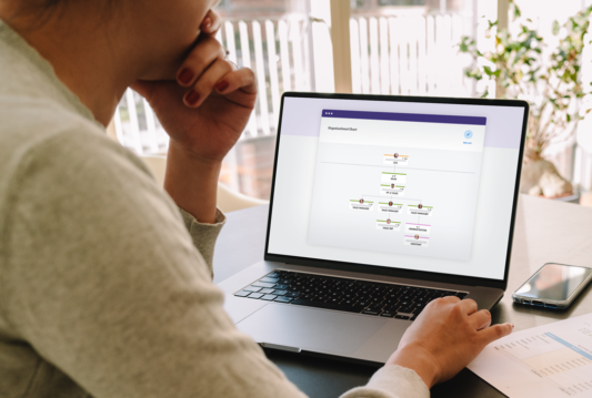 A female using HRdownloads organizational chart on her laptop
